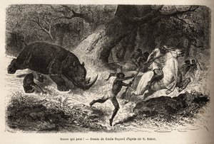 Der Angriff des Nashorns, das die Jäger umwirft und fängt, während der Suche nach dem Autor und seinen Führern. Gravur zur Illustration der Erforschung der abessinischen Nebenflüsse des Nils, von Sir Samuel W.Baker, 1861-62, veröffentlicht in "Le tour du m