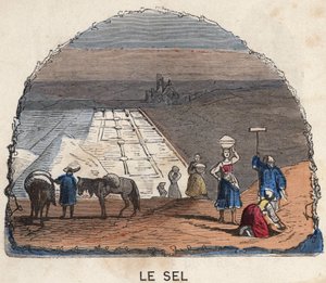 Die Salzsammlung. Illustration des 19. Jahrhunderts. Bianchetti Sammlung von Unknown artist