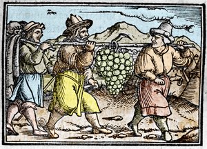 Die Rückkehr von Josua und Kaleb mit einer riesigen Traube aus dem Land Kanaan (Gelobtes Land). Chronik von Johann Stumpff „Den edlen strucen besten fromen“