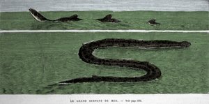Die Seeschlange, beobachtet 1872 im südlichen Atlantik.