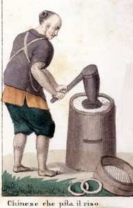 Ein Chinese, der Reis plündert - in Il costume universale di tutti i popoli del mondo (Die universelle Tracht aller Völker der Welt)