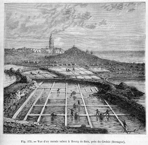 Ansicht eines Salzsumpfes in Bourg de Batz, nahe Croisic (Bretagne) - in „Die Wunder der Industrie“ von Louis Figuier