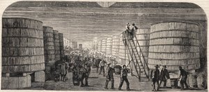 Ansicht des Kellers im Château - Lafitte im Jahr 1860 von Unknown artist