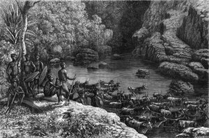 Zululand in Afrika: Da der Wald nicht die notwendigen Ressourcen bietet, ist der Zulu-Stamm gezwungen, in die Ebenen hinabzusteigen, wo sie Landwirtschaft betreiben und Vieh züchten. Gravur in "La Nature"