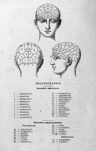 Illustration aus Charles Rouvins Buch von 1873 Organographie La Tête humaine, illustrierte Studien der Phrenologie und Physiognomie angewendet auf berühmte Persönlichkeiten Paris 1873