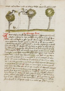 Ein Habicht auf einem Baum und eine Nachtigall, die von ihrem Nest wegfliegt von Unknown artist