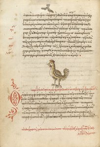 Ein Huhn von Unknown artist