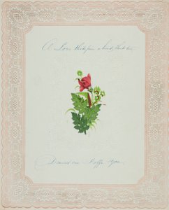 Eine Liebe, die fest ist (Valentinstag)