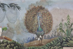 Ein Pfau (Detail)
