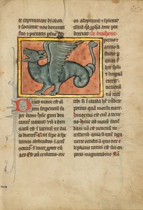 Ein geflügelter Drache von Unknown artist