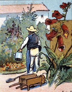 Ein Gärtner, Chromolithografie