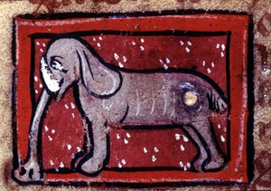 Ein Elefant - Bestiarium des 14. Jahrhunderts. Mailand, Biblioteca Trivulziana.