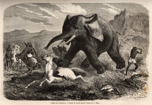 Ein Elefant beendet die Truppe, die ihn verfolgte, und greift die Jäger zu Pferd an, während einer der Jäger seinen Arm hebt, um ihn zu stoppen und mit einem Sumpf zu beenden. Gravur zur Illustration der Erforschung der abessinischen Nebenflüsse des Nils, 