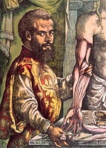 Andreas Vesalius (Gravur)