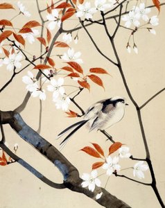 Vogel und blühender Kirschbaum - Japanische Zeichnung von Riou Chim, späte 19. Jahrhundert von Unknown artist