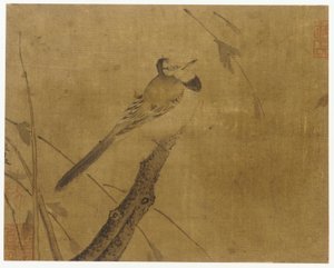 Vogel auf einem blattlosen Ast