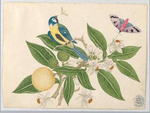 Vogel auf einem Orangenast, mit Schmetterling