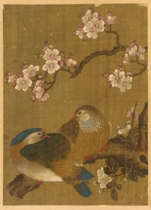 Vögel und Pflaumenblüten