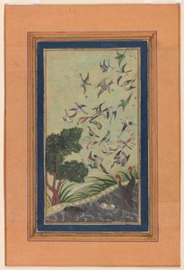Vögel in Baran, möglicherweise aus dem Babur-nama