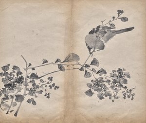 Blüten