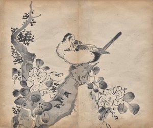 Blüten und Vögel von Unknown artist