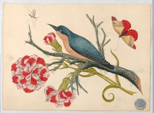Blauer Vogel auf Zweig mit Nelken und Insekten