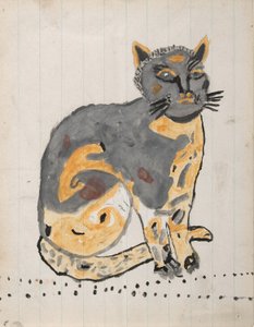 Katze