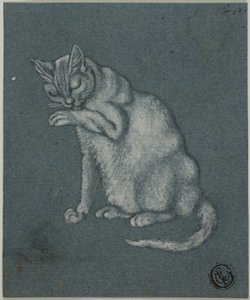 Katze leckt Pfote