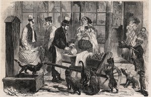 Katzenfleischmann auf einer Straße im Westminster-Viertel von London, ein gehender Pferdefleischhändler für Hunde und Katzen - Gravur in „The Illustrous World“ von Unknown artist