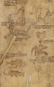 Sternbilddiagramme