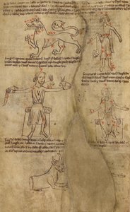 Sternbilddiagramme