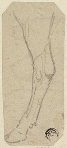 Kuhbein