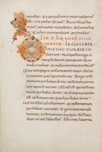 Dekorierte Initiale D