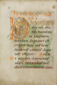 Dekorierte Initiale D