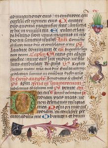 Geschmückte Initiale D