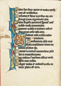 Geschmücktes Initial E