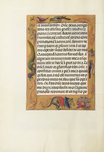 Dekorierte Textseite von Unknown artist