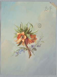 Entwurf für Tapeten und Textilien: Blumen