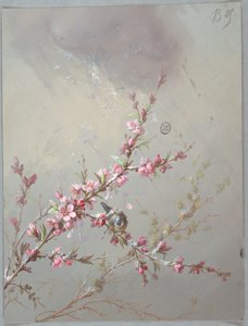 Entwurf für Tapeten und Textilien: Blumen und Vögel