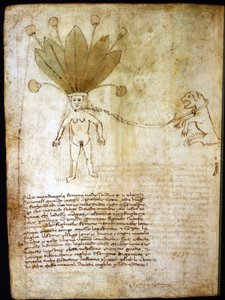 Weibliche Alraune, extrahiert aus einem Kräuterbuch des 14. Jahrhunderts