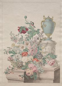 Flore Pittoresque ou Recueil de Fruits et de Fleurs