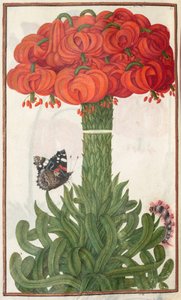 Florilegium: Strauß aus orangefarbenen Lilien (Seite 18 verso)