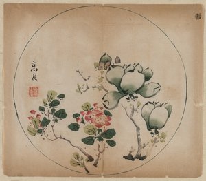 Blühende Magnolie und Pfirsichblüten