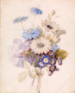 Blumen mit Gänseblümchen
