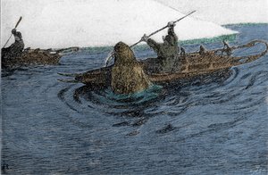 Fridtjof Nansen (1861-1930), norwegischer Entdecker, von einem Walross während der Nordpolexpedition 1896 angegriffen. Er trägt den Schlitten auf dem Kajak. Gravur aus dem 19. Jahrhundert. von Unknown artist
