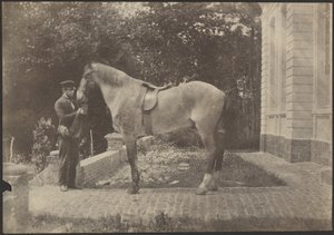 [Pferd und Mann] von Unknown artist