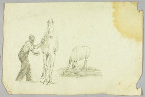Pferde von Unknown artist