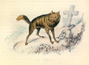 Illustration aus dem Buch "Gesammelte Werke von Buffon": Die Vierfüßler: Die Hyäne (Gravur)