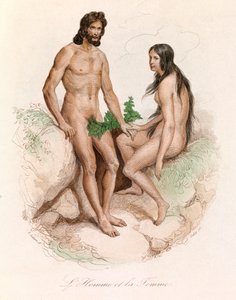 Illustration aus dem Buch "Gesammelte Werke von Buffon": Naturgeschichte des Menschen: Mann und Frau (Gravur)