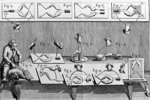 Illustration von Experimenten von Luigi Galvani, italienischer Physiker und Arzt (1737 - 1798), die den Durchgang von elektrischem Strom erklären, der die Beine eines Frosches bewegt. von Unknown artist